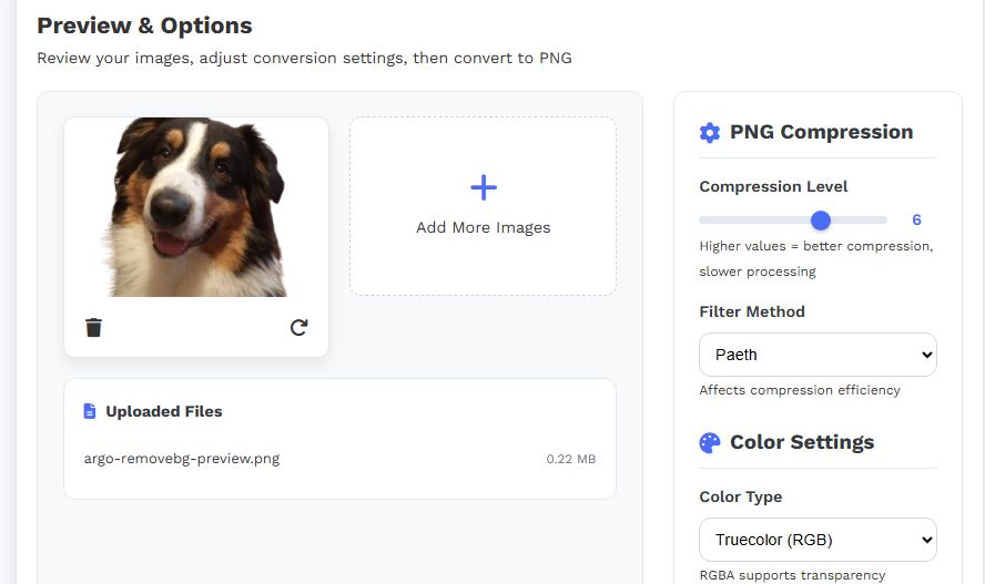 png converter online