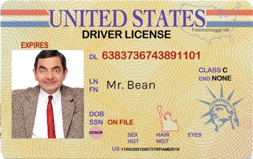 Fake drivers license generator